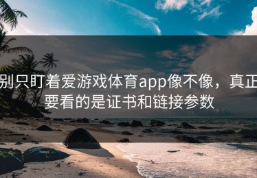 别只盯着爱游戏体育app像不像，真正要看的是证书和链接参数
