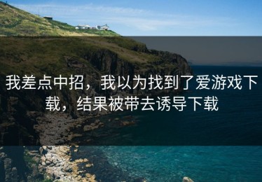 我差点中招，我以为找到了爱游戏下载，结果被带去诱导下载