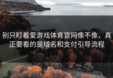 别只盯着爱游戏体育官网像不像，真正要看的是域名和支付引导流程