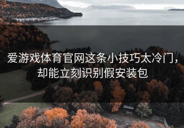 爱游戏体育官网这条小技巧太冷门，却能立刻识别假安装包