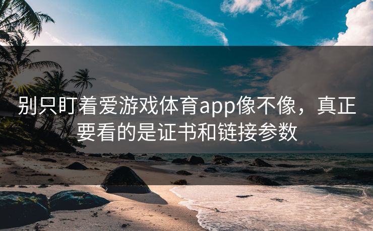 别只盯着爱游戏体育app像不像，真正要看的是证书和链接参数